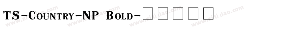 TS-Country-NP Bold字体转换